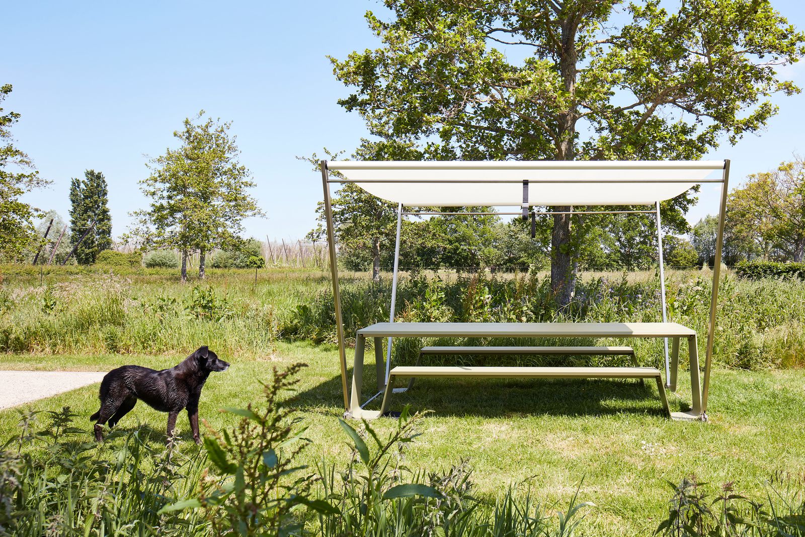 Een picknick in de natuur