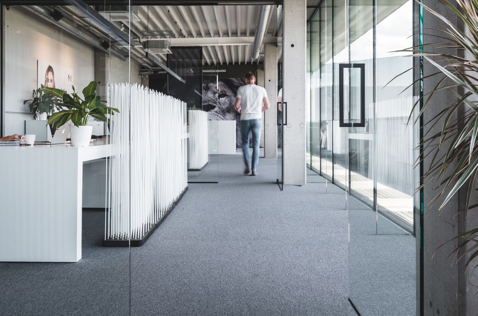 Sticks, the ideal office divider