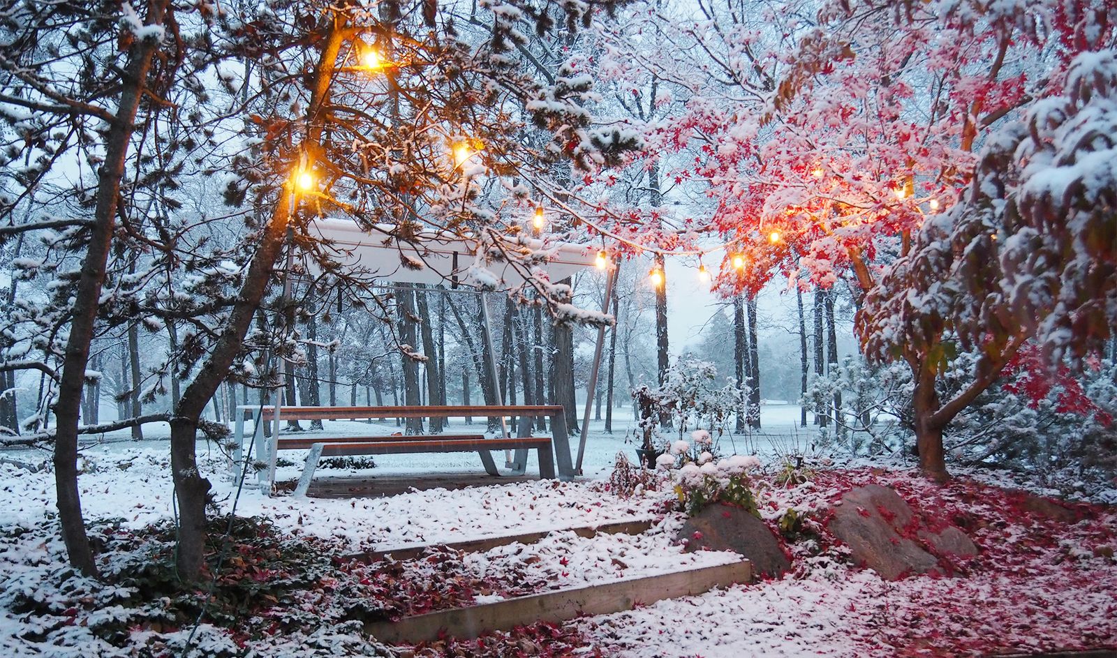 Wonderland winter A Winter