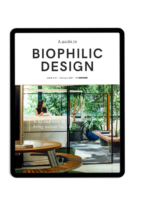 A guide to biophilic design