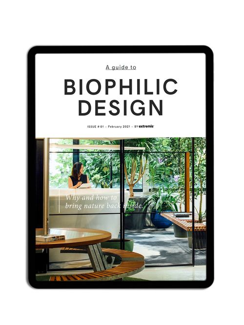 Ein Leitfaden zum biophilen Design