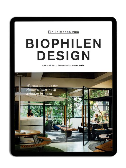 Notre guide du design biophilique