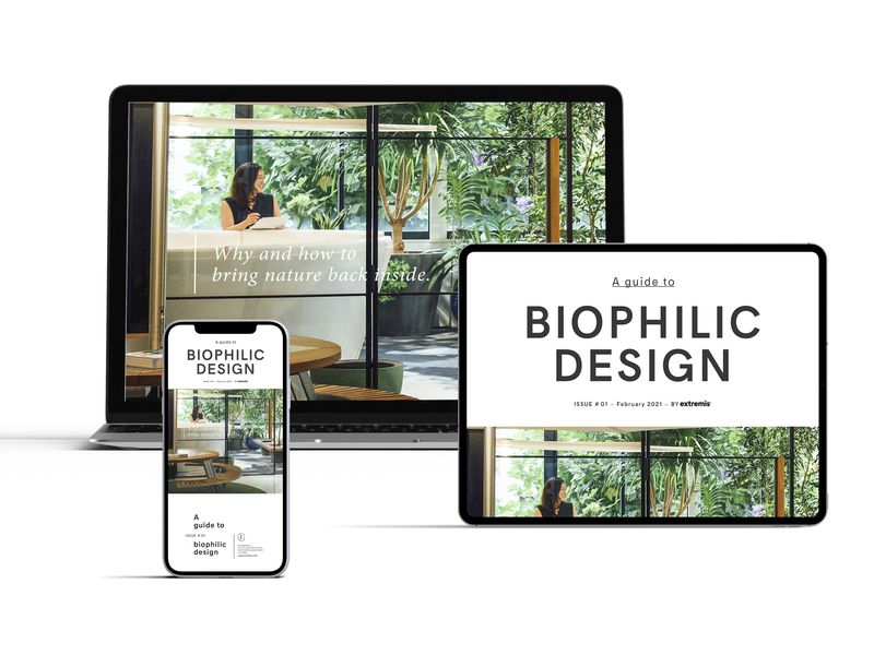 A guide to biophilic design - Stories - Extremis