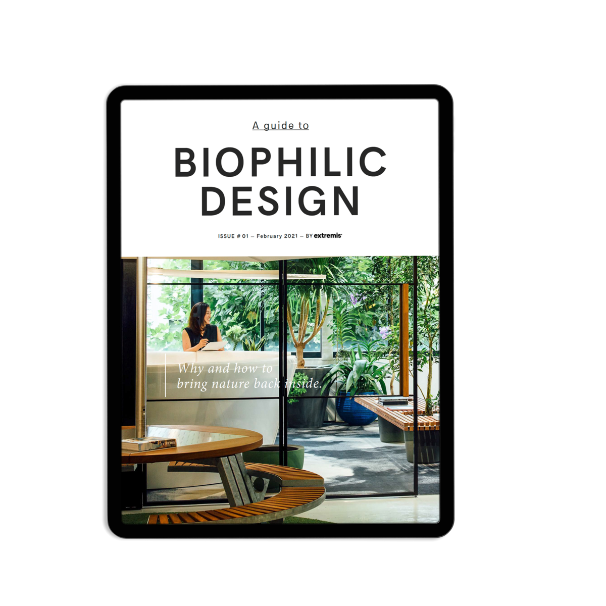 A guide to biophilic design - Stories - Extremis