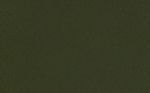 Vert bouteille (RAL6007)