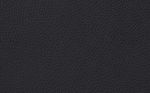 Black (Indoor leather)