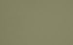 Reed green (RAL6013)