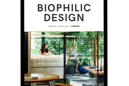 Notre guide du design biophilique