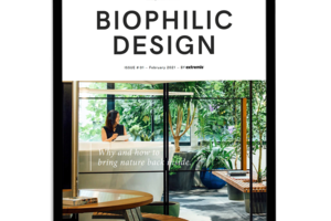 Notre guide du design biophilique