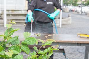 Een vroege lenteschoonmaak voor de Hopper